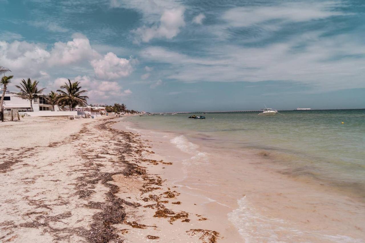Luxury Condo, The Hidden Gem Playa Chaca. Live It! Progreso  Exterior foto